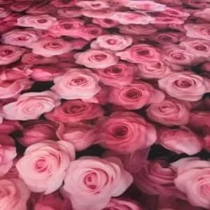 ⁦تفته كريب بتصميم الورد⁩ - الصورة ⁦5⁩